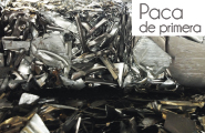 paca de primera